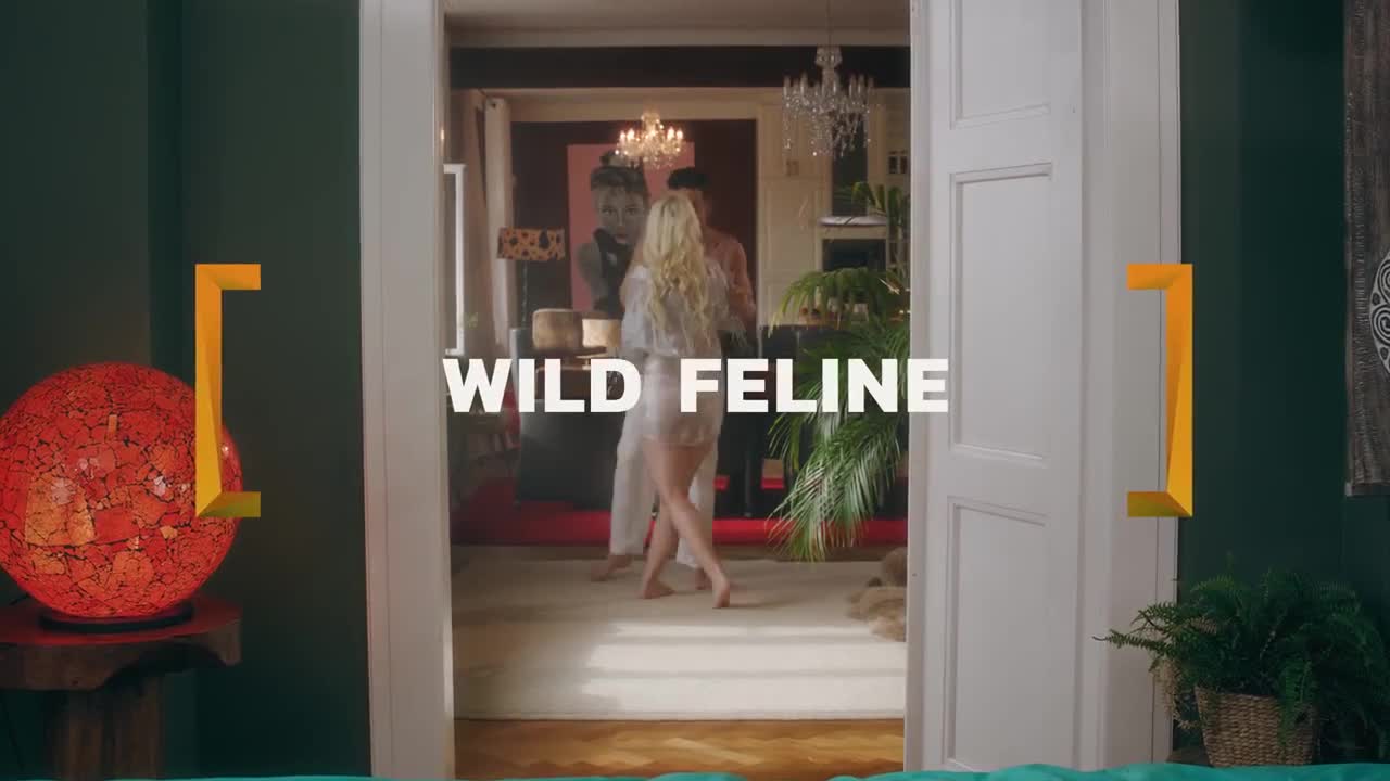 Daruma Rai - Wild Feline - ePornhubs