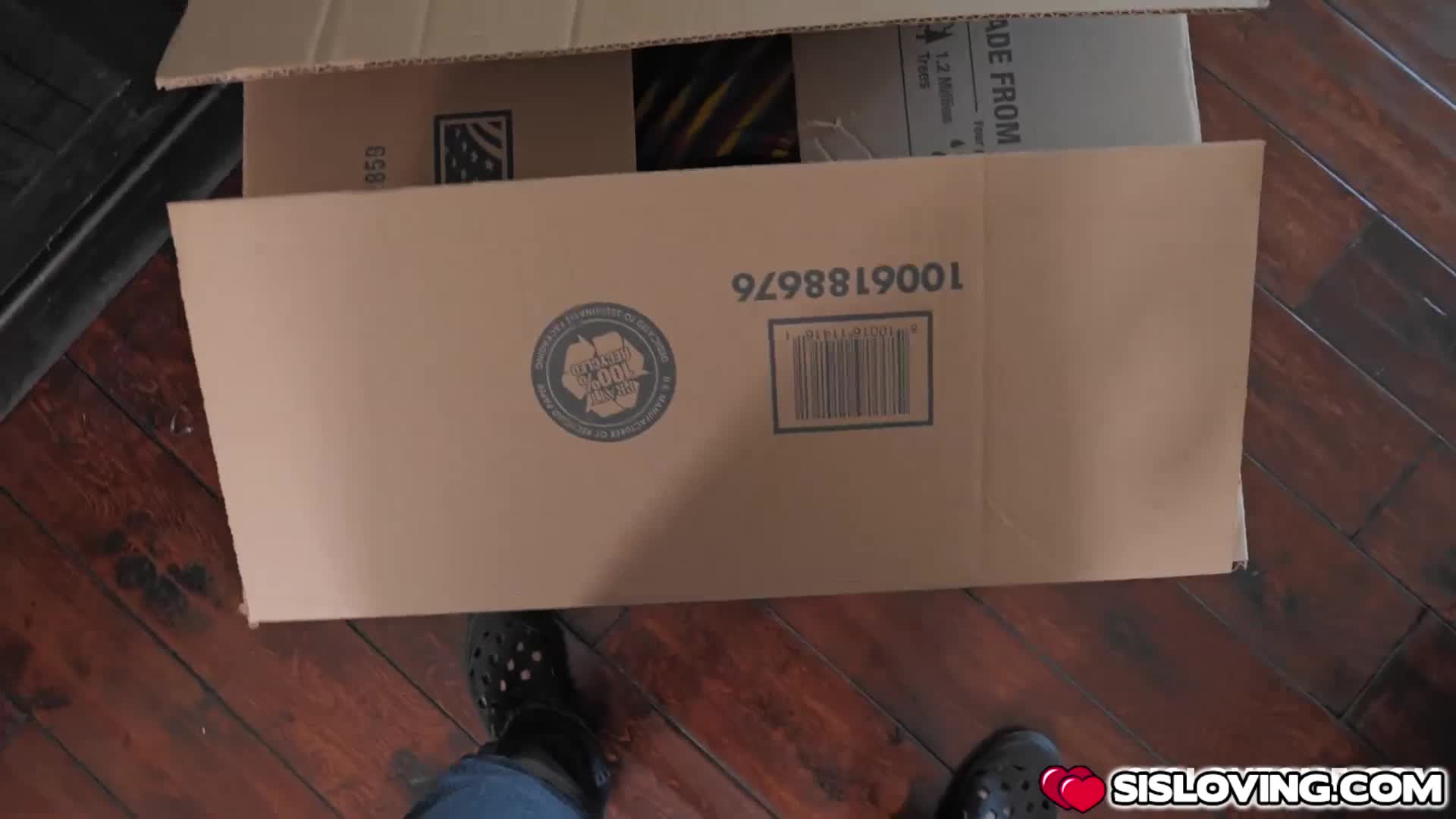 Stepsis reminds stepbro of half forgotten promise - ePornhubs